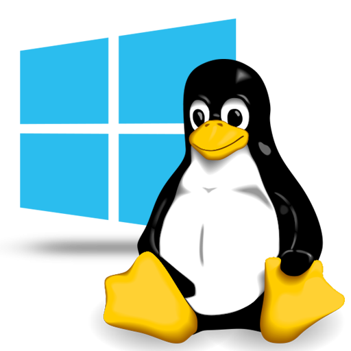 Windows & Linux Operating Systems